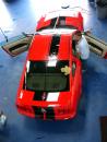 Mustang Rally Stripes